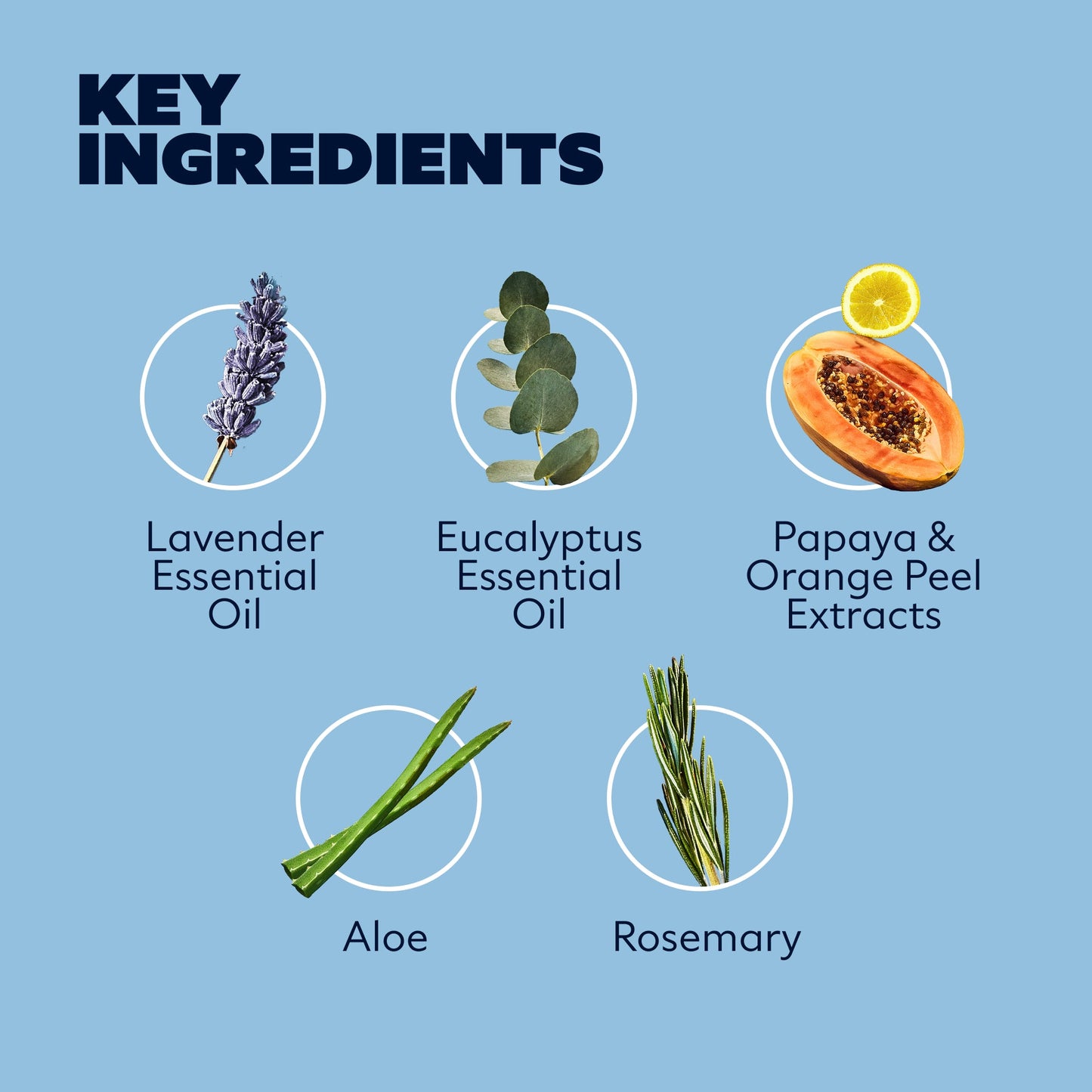 Key ingredients Lavender Essential Oil, Eucalyptus Essential Oil, Papaya Orange Peel Extracts, Aloe, Rosemary